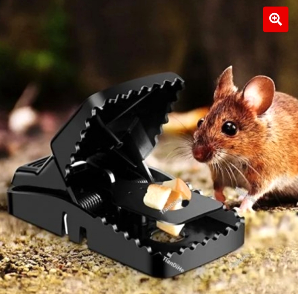 Mouse trap