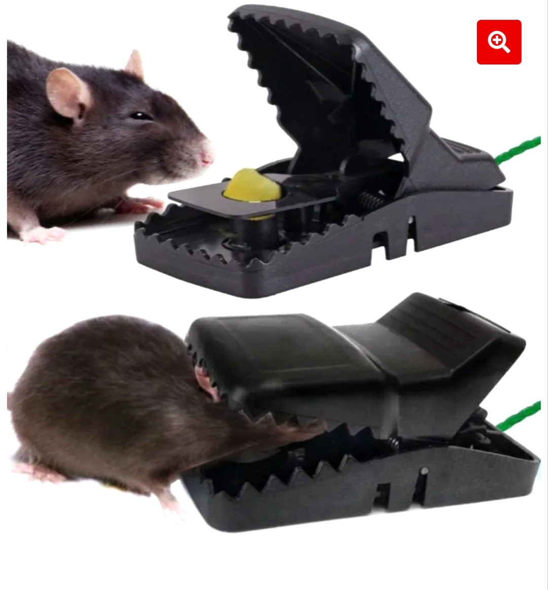 2 pc mouse trap