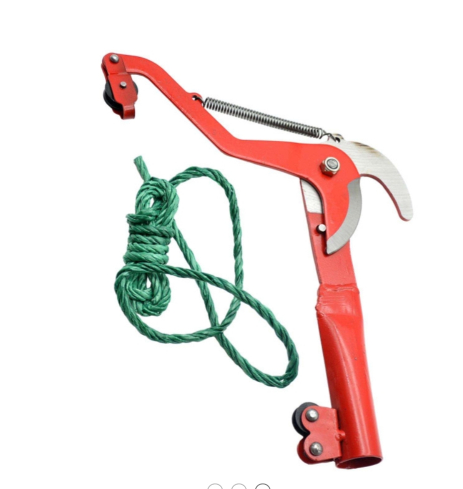 Red Double-Wheel High Branch