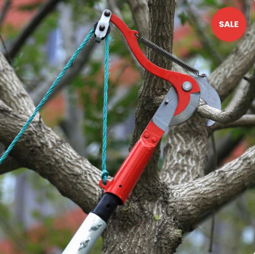 Red Double-Wheel High Branch